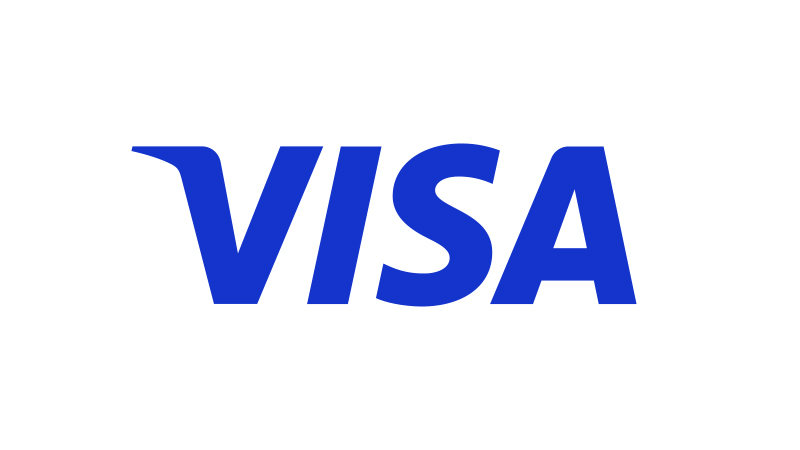 visa payment